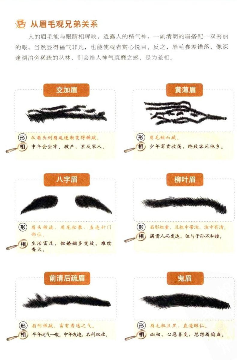 如何看脸识人——眉毛观人际关系九品军师府国学文化，博大精深，分享传统文化